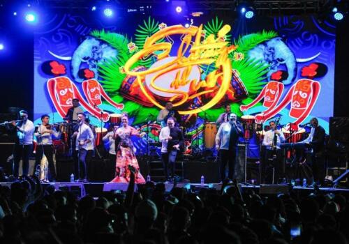 91 (1)